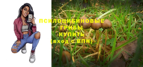 а пвп мука Саяногорск