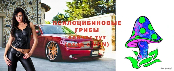 герыч Сафоново