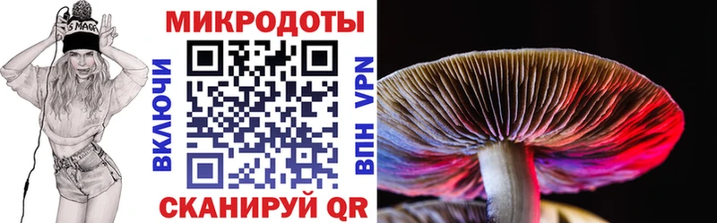 Купить закладки  Чебоксары  Псилоцибиновые грибы мухоморы 